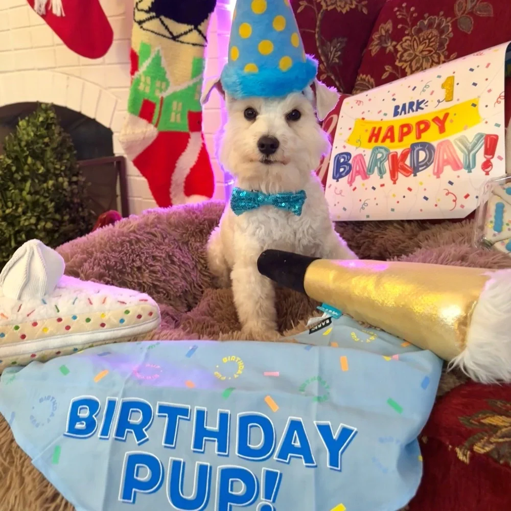 Large/XL Partial Birthday Bark Box
